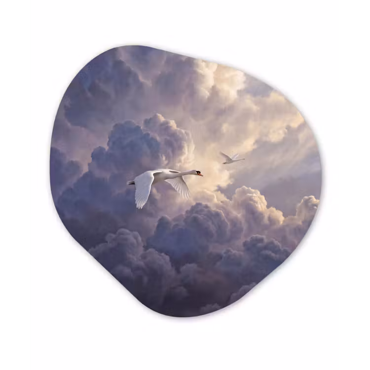 Vogel - Vliegend - Natuur - Wit - Wolken Wandcirkel Organisch Forex 3mm klein -3d