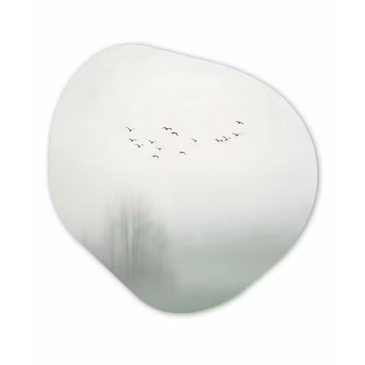 Vogel - Vlucht - Natuur - Minimalistisch Wandcirkel Organisch Forex 3mm klein -3d