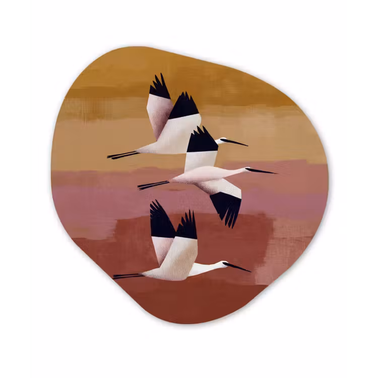 Vogels - Snavel - Abstract Wandcirkel Organisch Forex 3mm klein -3d