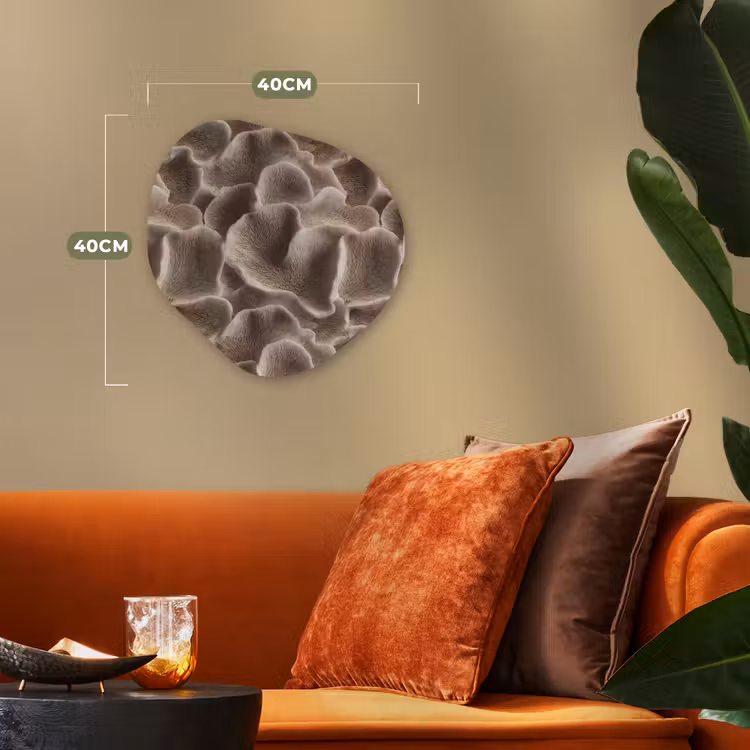 Waaiervorm - Beige - Vezel textuur Wandcirkel Organisch Forex 3mm klein 629 -sfeer3