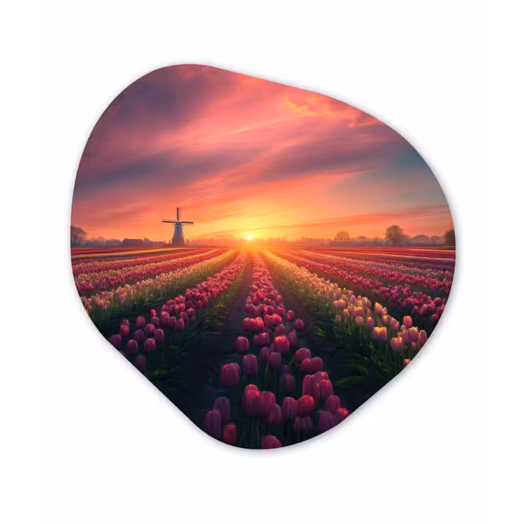 Windmolen - Zonsondergang - Landschap Wandcirkel Organisch Forex 3mm klein -3d
