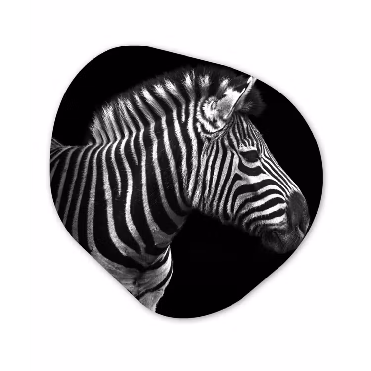 Zebra - Zwart - Wit - Portret - Dieren Wandcirkel Organisch Forex 3mm klein -3d