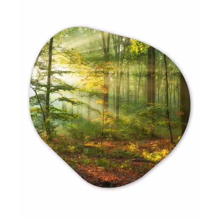 Zon - Bos - Bomen - Natuur - Herfst Wandcirkel Organisch Forex 3mm klein -3d