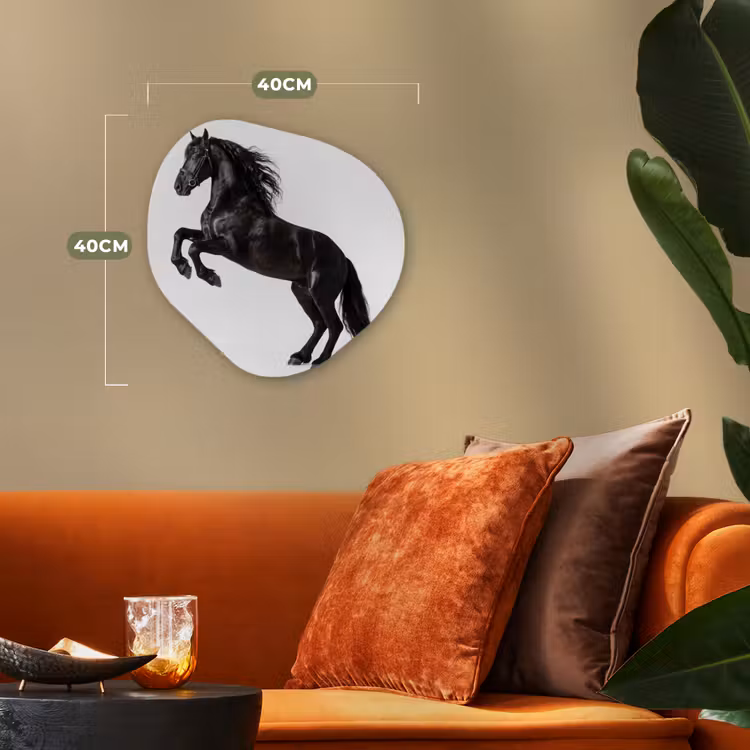 Zwart - Paard - Portret Wandcirkel Organisch Forex 3mm klein -sfeer3