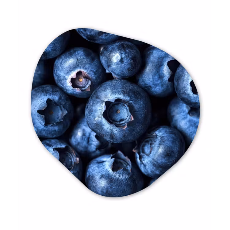 Bessen - Blauw - Fruit Wandcirkel Organisch Plexiglas middel -3d