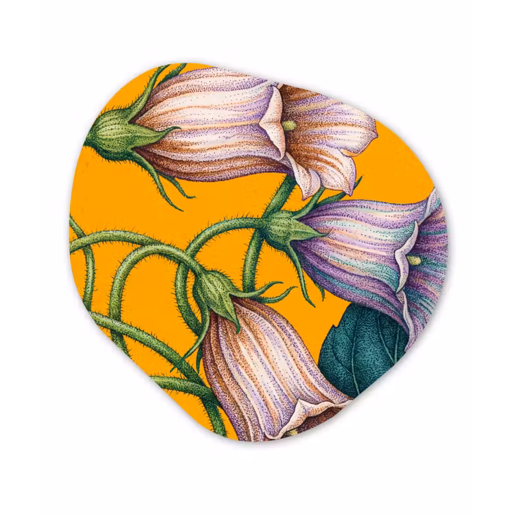 Organisch schilderij glas - Bloemen - Botanisch - Geel - Bloemen - Botanisch - Geel Wandcirkel Organisch Plexiglas middel