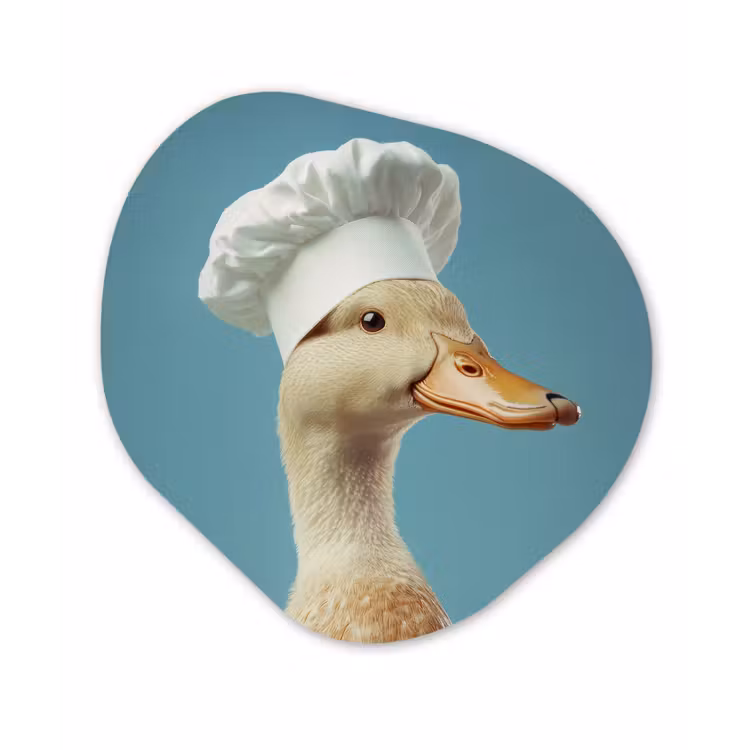 Eend - Koksmuts - Cute - Vogel Wandcirkel Organisch Plexiglas middel -3d