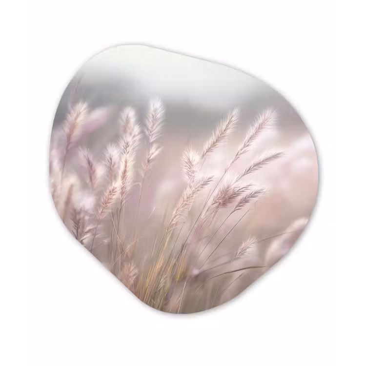Graspluimen - Wind - Beige - Mistig Wandcirkel Organisch Plexiglas middel -3d