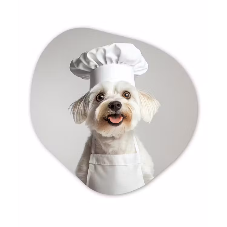 Hond - Wit - Kok Wandcirkel Organisch Plexiglas middel -3d