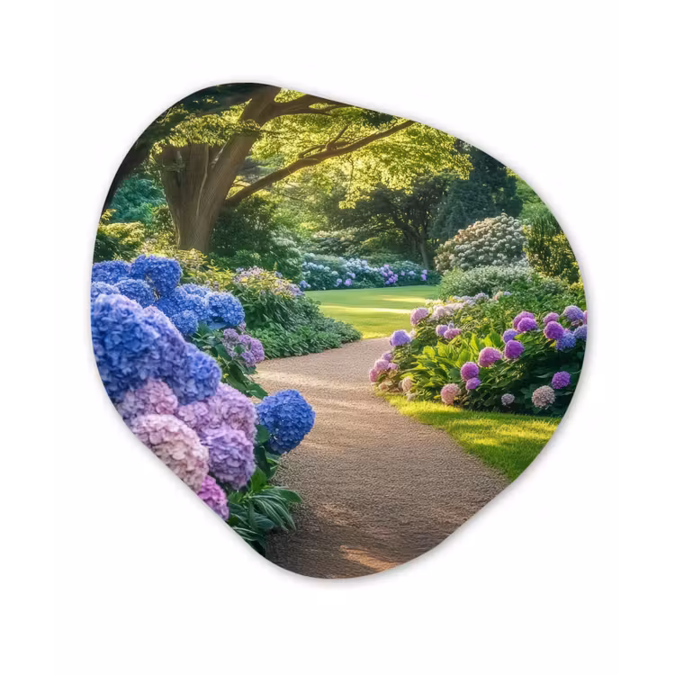 Hortensia- Park - Pad Wandcirkel Organisch Plexiglas middel -3d