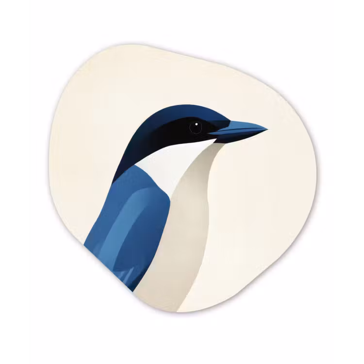 Illustratie - Blauw - Vogel Wandcirkel Organisch Plexiglas middel -3d