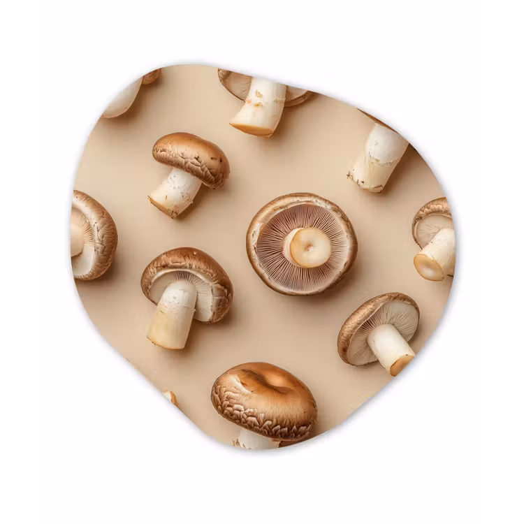 Kastanje Champignons - Beige Wandcirkel Organisch Plexiglas middel -3d