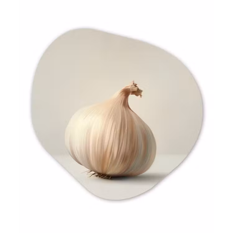 Knoflook - Natuurlijk - Beige Wandcirkel Organisch Plexiglas middel -3d