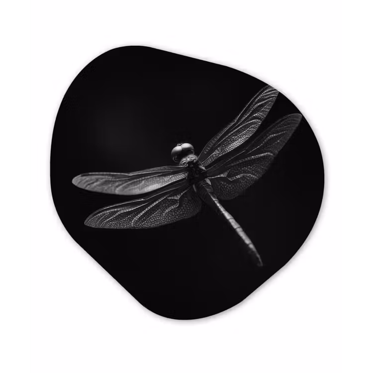 Libelle - Dieren - Zwart - Insect Wandcirkel Organisch Plexiglas middel -3d