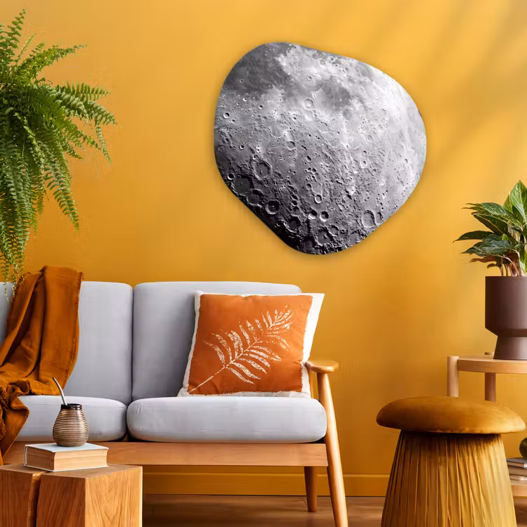 Organisch schilderij glas - Maan - Kraters - Ruimte - Maan - Kraters - Ruimte Wandcirkel Organisch Plexiglas middel