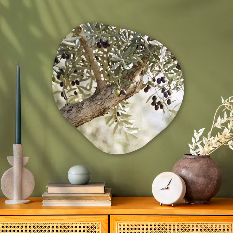 Organisch schilderij glas - Olijfboom - tak - groen - Olijfboom - tak - groen Wandcirkel Organisch Plexiglas middel