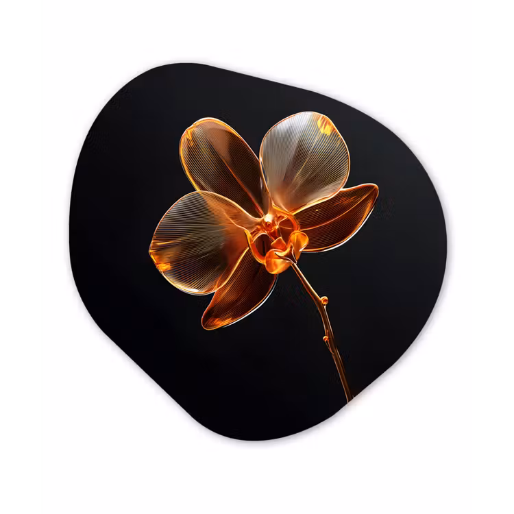 Orchidee - Doorzichtig - Bloem Wandcirkel Organisch Plexiglas middel -3d