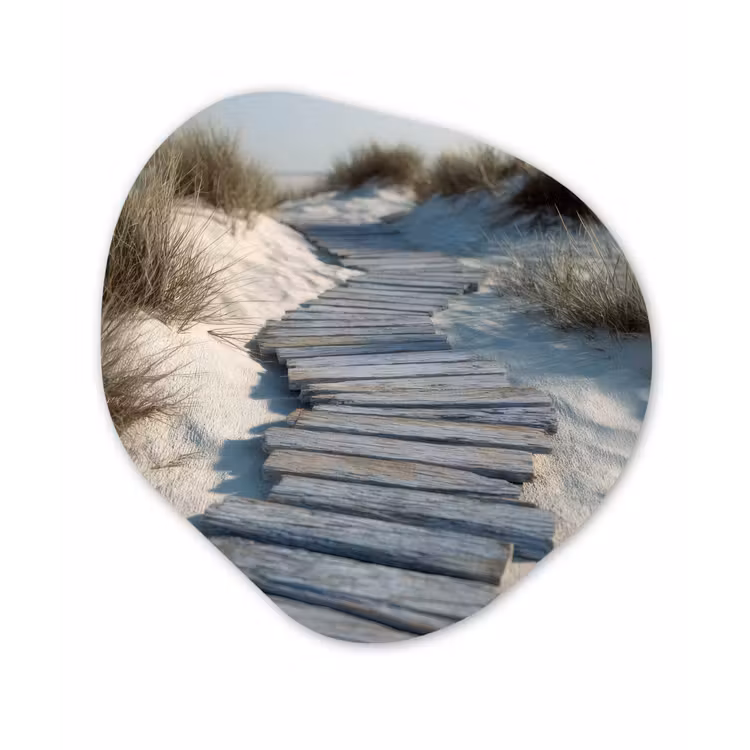 Pad - Planken - Duinen - Gras Wandcirkel Organisch Plexiglas middel -3d