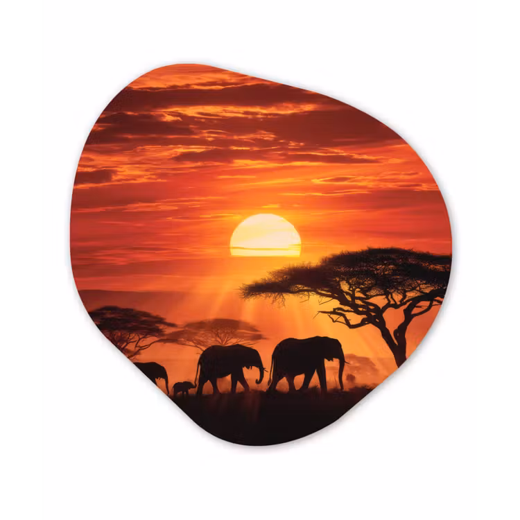 Savanne - Olifanten - Zonsondergang Wandcirkel Organisch Plexiglas middel -3d