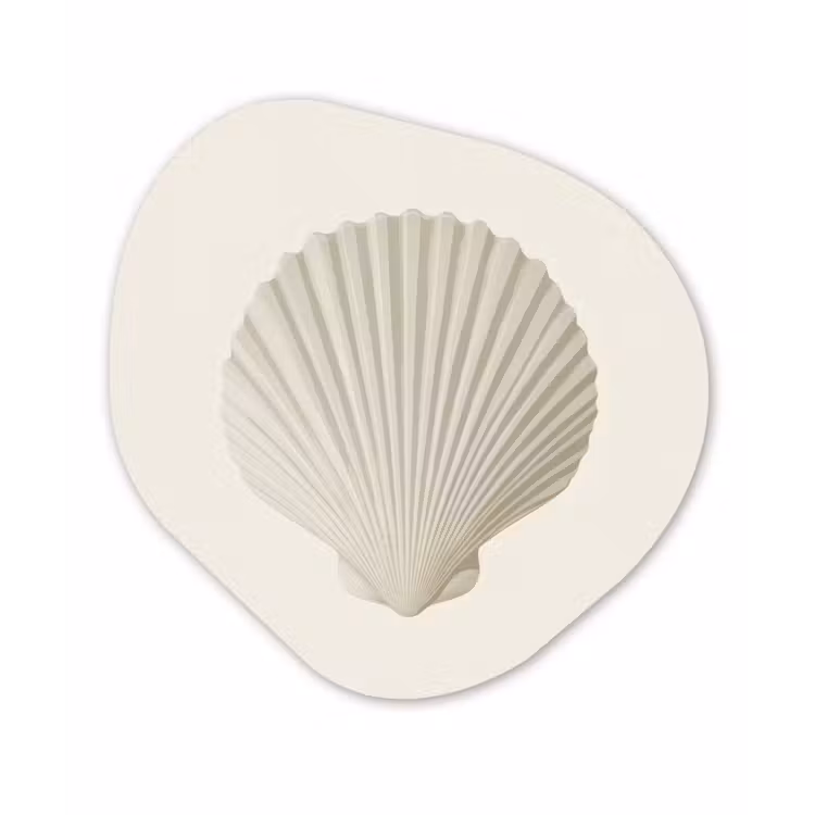 Schelp - Minimalistisch - Wit Wandcirkel Organisch Plexiglas middel -3d