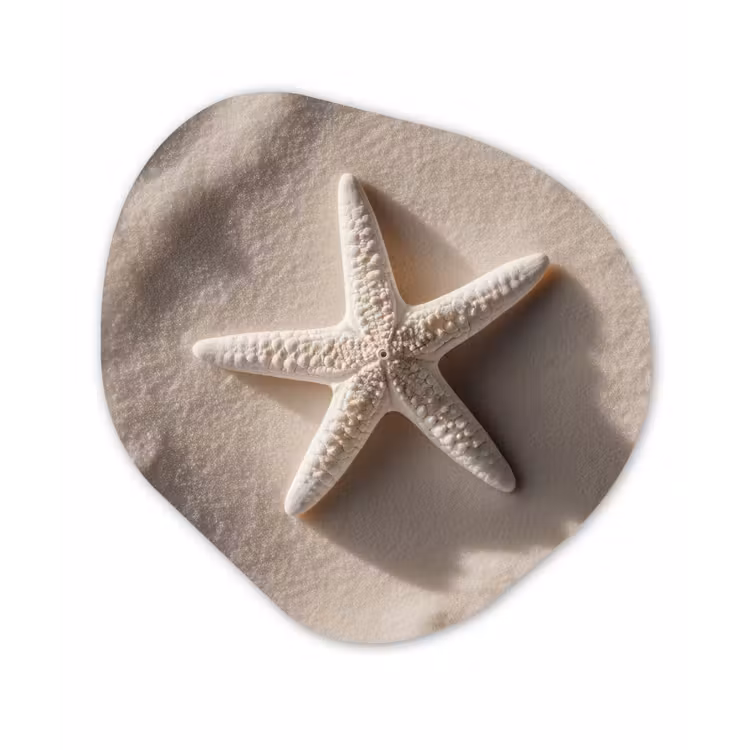 Strand - Zeester - Zand - Beige Wandcirkel Organisch Plexiglas middel -3d