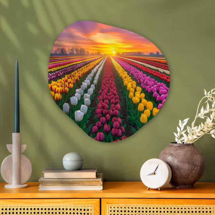 Tulpenveld - Zonsondergang - Kleurrijk Wandcirkel Organisch Plexiglas middel -sfeer2