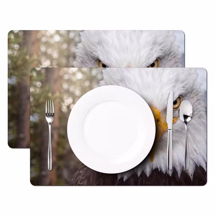 Amerikaans - Zeearend - Portret - Geel Placemat vinyl groot -zzsfeer2_Kitchenyeah-website