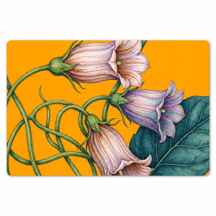 Placemat - 6 stuks - Bloemen - Botanisch - Geel — 7