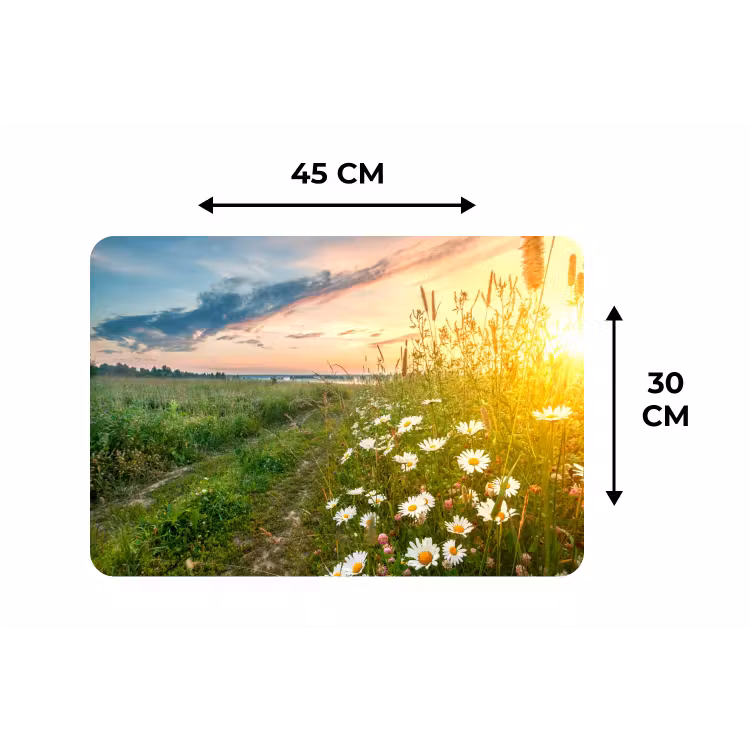Bloemen - Madelief - Natuur - Zon - Horizon Placemat vinyl groot -specs