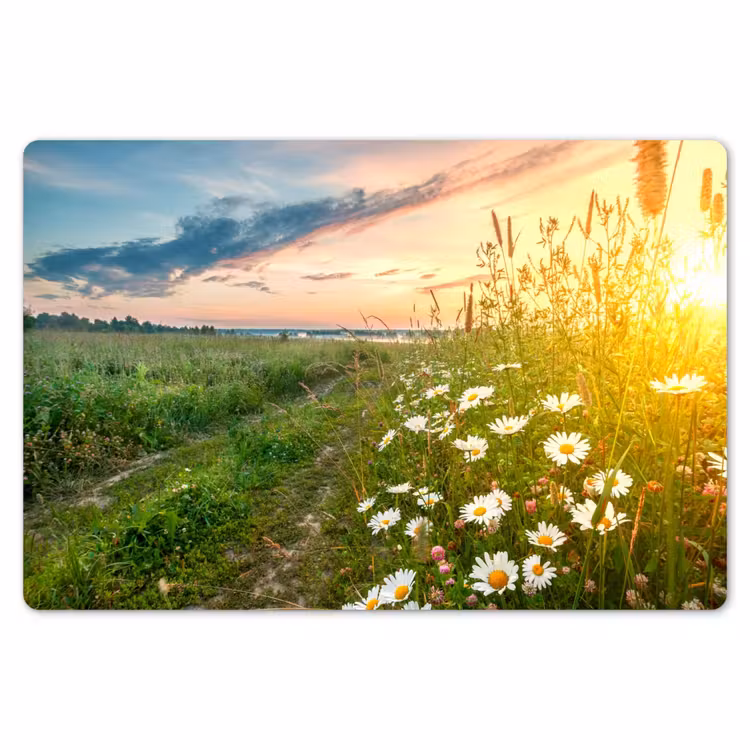 Bloemen - Madelief - Natuur - Zon - Horizon Placemat vinyl groot -zzsfeer1_Kitchenyeah-website