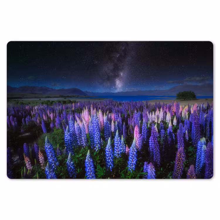 Bloemen - Nacht - Lupine - Sterrenhemel - Paars - Natuur Placemat vinyl groot -zzsfeer1_Kitchenyeah-website