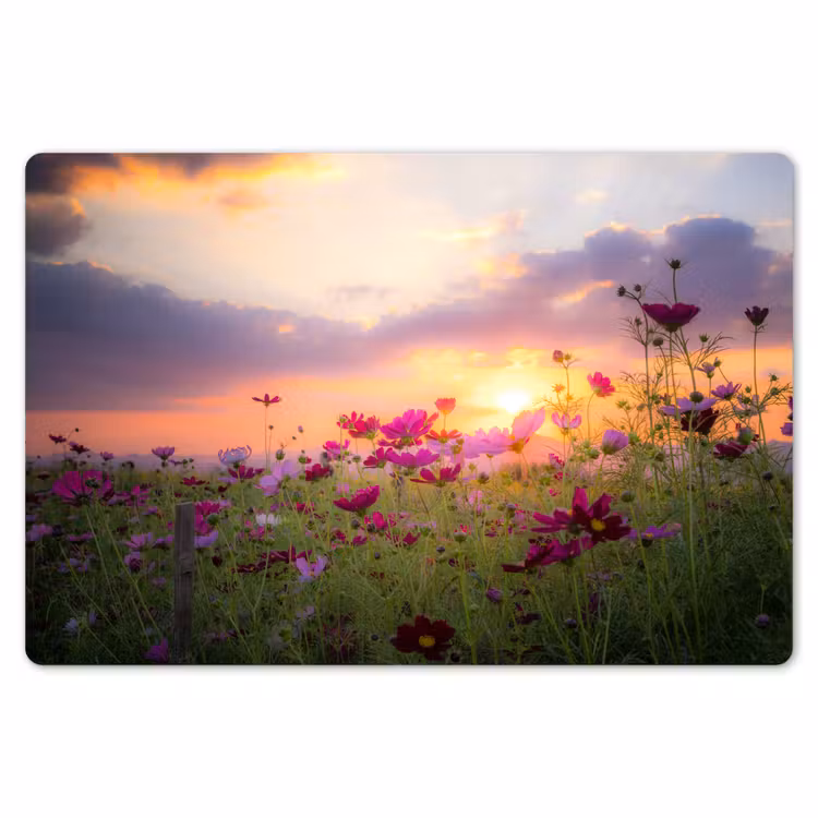 Bloemen - Roze - Zonsondergang - Natuur - Weide - Horizon Placemat vinyl groot -zzsfeer1_Kitchenyeah-website