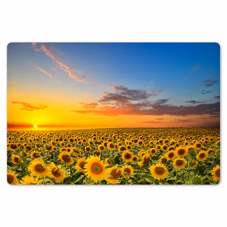 Bloemen - Zonnebloem - Zonsondergang - Nacht - Oranje Placemat vinyl groot -zzsfeer1_Kitchenyeah-website