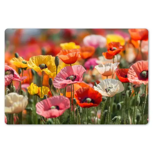 Bloemenveld - Klaprozen - Kleurrijk Placemat vinyl groot -zzsfeer1_Kitchenyeah-website