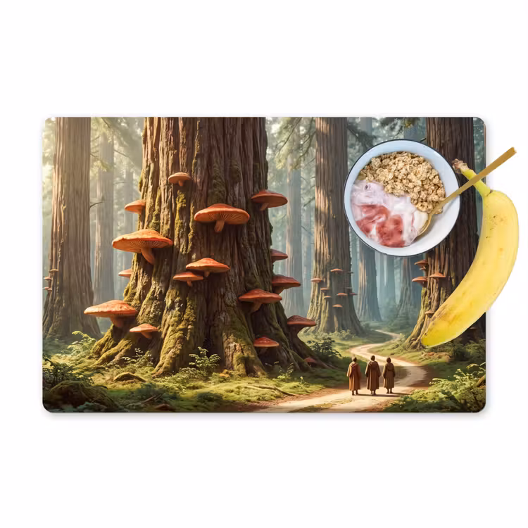 Placemat - 6 stuks - Bos - Bomen - Natuur - Bos - Bomen - Natuur Placemat vinyl groot