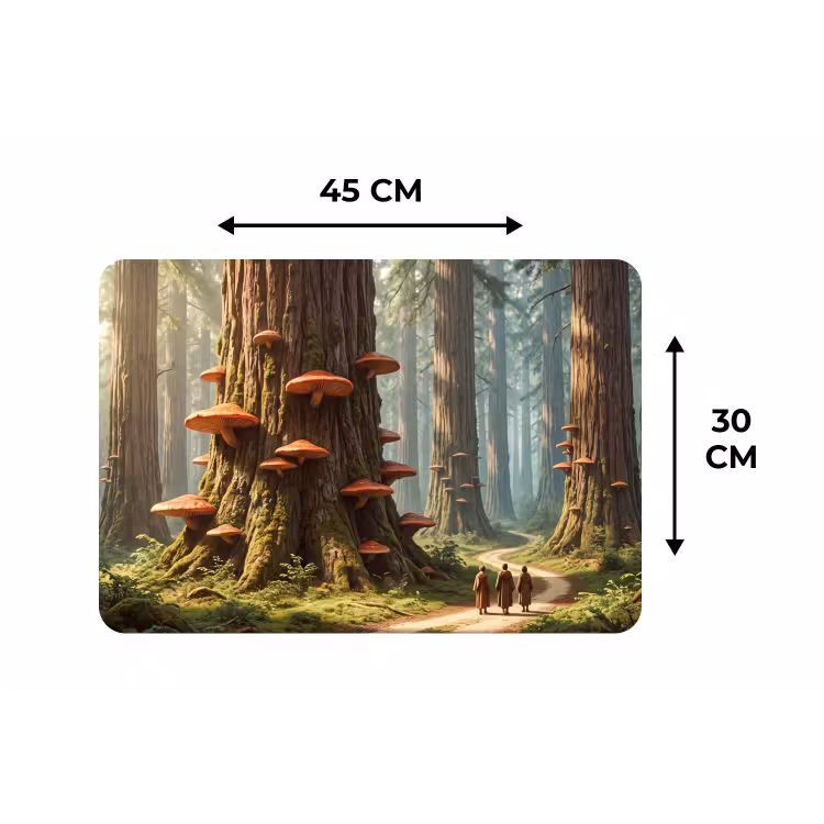 Placemat - 6 stuks - Bos - Bomen - Natuur - Bos - Bomen - Natuur Placemat vinyl groot