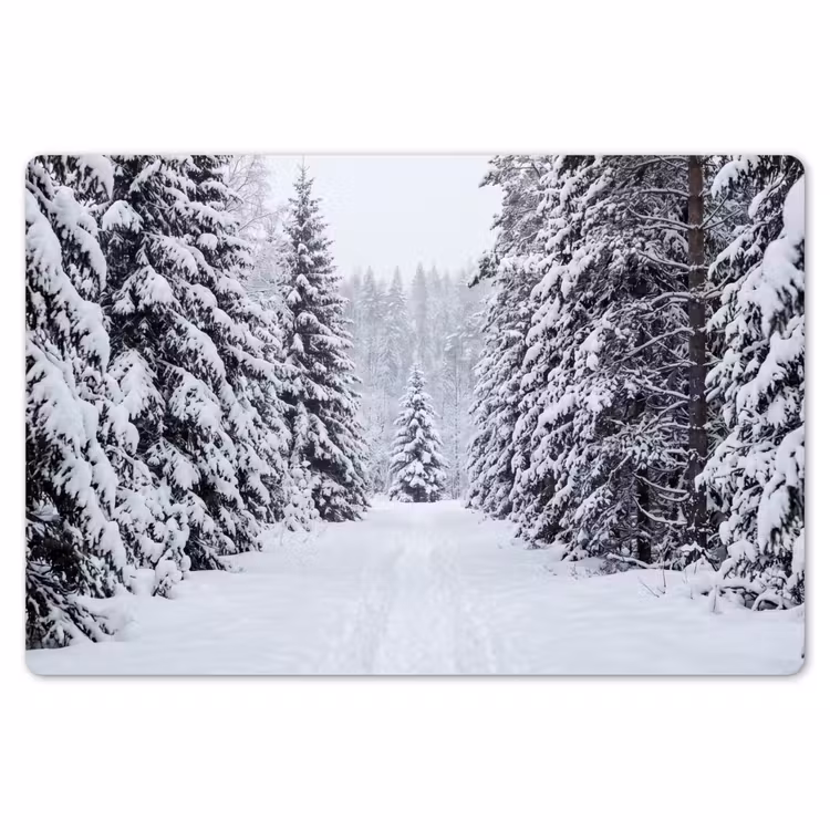 Bos - Winter - Sneeuw - Pad - Natuur Placemat vinyl groot -zzsfeer1_Kitchenyeah-website