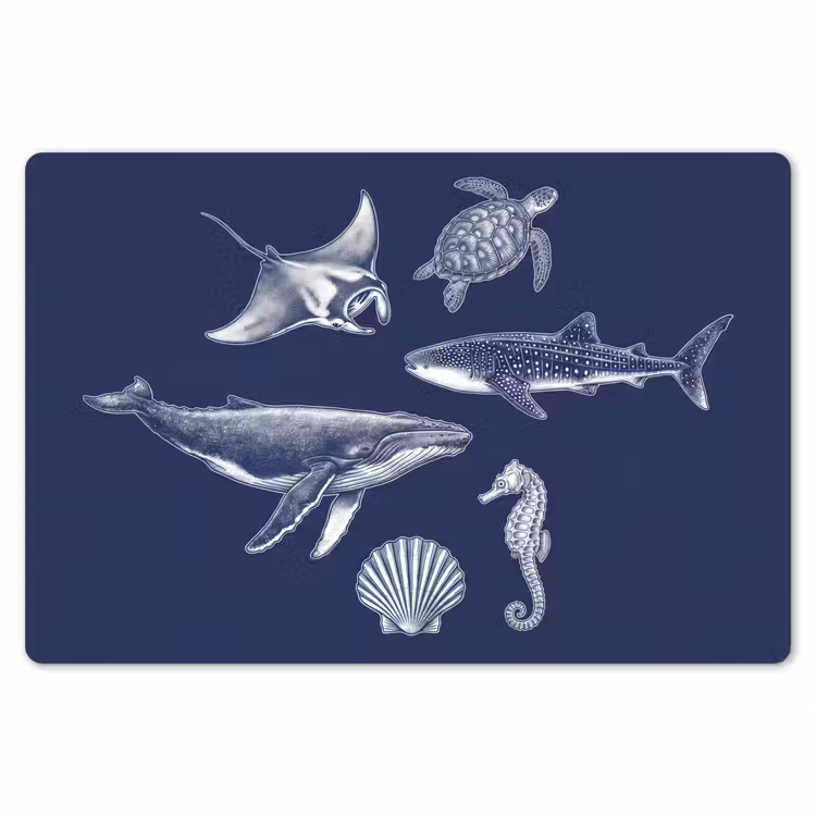 Dieren - Zeeleven - Oceaan - Graveren - Blauw Placemat vinyl groot -zzsfeer1_Kitchenyeah-website