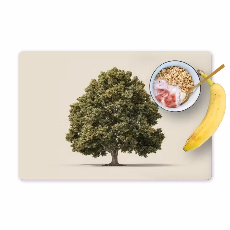 Eikenboom - Groen - Lichte achtergrond Placemat vinyl groot -zzzproduct_Kitchenyeah-website