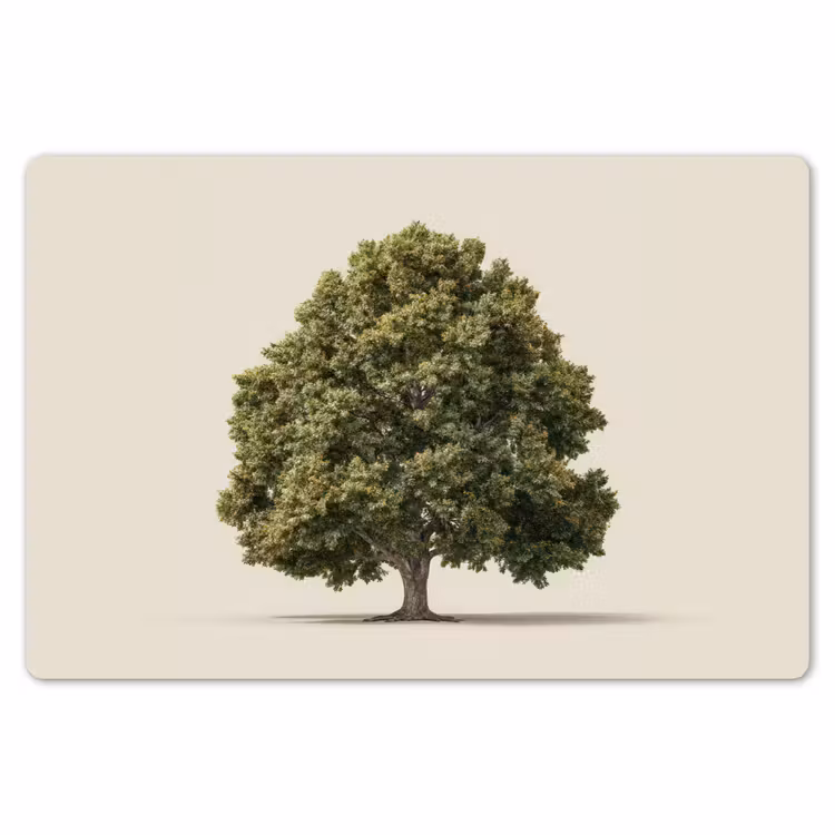 Eikenboom - Groen - Lichte achtergrond Placemat vinyl groot -zzsfeer1_Kitchenyeah-website
