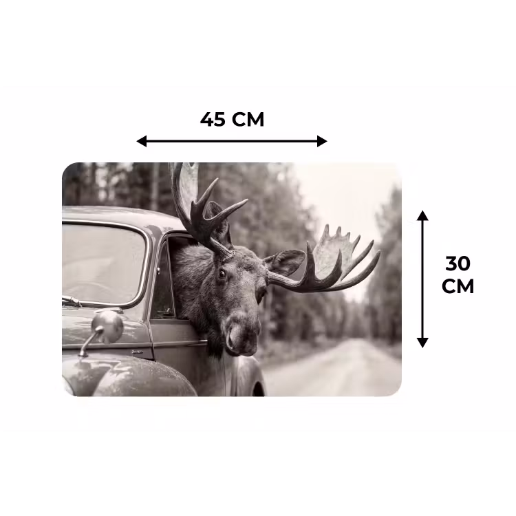 Eland - Auto - Gewei - Zwart - Wit Placemat vinyl groot -specs