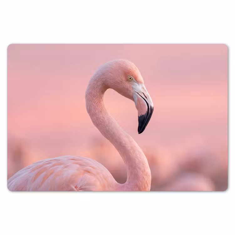 Flamingo - Portret - Roze Placemat vinyl groot -zzsfeer1_Kitchenyeah-website