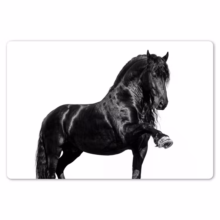 Fries - Hengst - Modern Placemat vinyl groot -zzsfeer1_Kitchenyeah-website