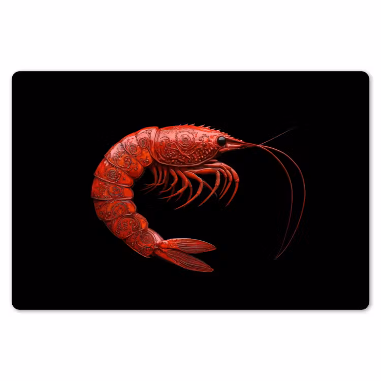 Garnaal - Rood - Dieren Placemat vinyl groot -zzsfeer1_Kitchenyeah-website