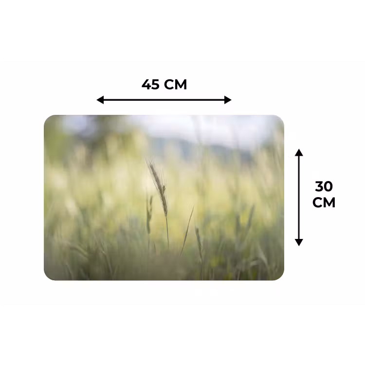 Graan - Aar - Natuur - Groen - Detail Placemat vinyl groot -specs