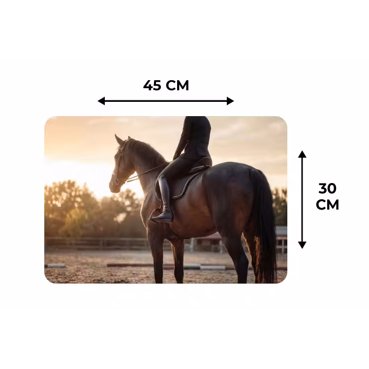 Harmonie - Ruiter - Zon Placemat vinyl groot -specs