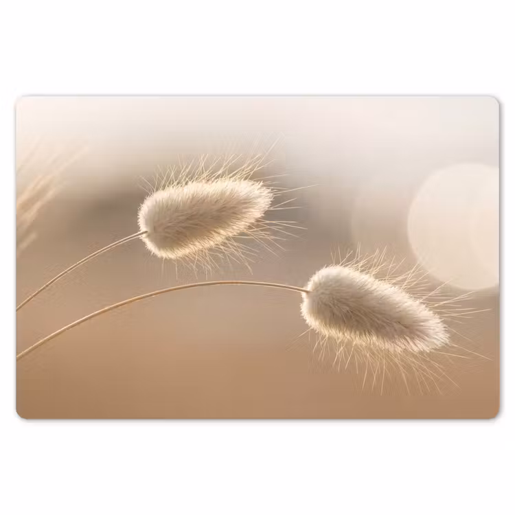 Hazestaartgras - Graanharen - Zonlicht Placemat vinyl groot -zzsfeer1_Kitchenyeah-website
