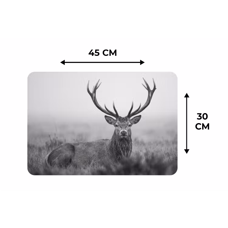 Hert - Mistig - Zwart - Wit Placemat vinyl groot -specs