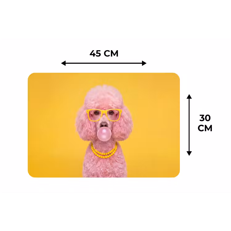 Hond - Kauwgum - Dieren - Modern - Roze Placemat vinyl groot -specs