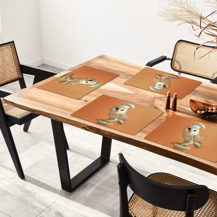 Kerkuil - Koksmuts - Oranje - Vogel Placemat vinyl groot -zzsfeer4_Kitchenyeah-website